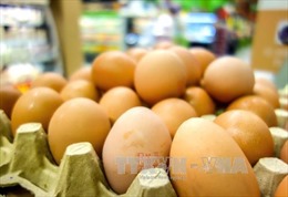 Tiết lộ mới về quy mô bê bối trứng &#39;bẩn&#39; nhập khẩu Đức 